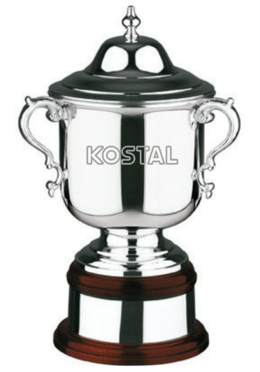 Custom Logo Swatkins League Champions Plain Cup Award w/ Lid