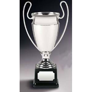 Nickelplated Engraved Golf Trophy Cup