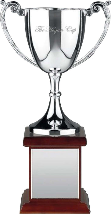 Custom Logo Golf Recognition Cup Awards
