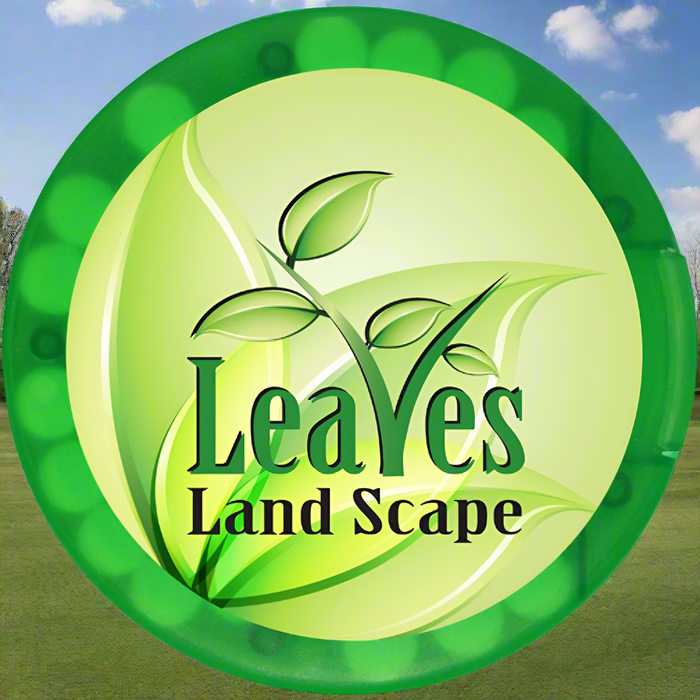 Custom Logo Round Credit Card Mints