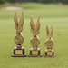 Golf Award - Phoenix Trophy - Tournamentshowroom.com