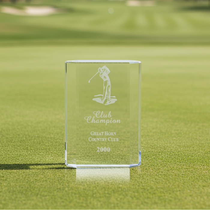 Custom Logo Engraved Merit Award - Tournamentshowroom.com