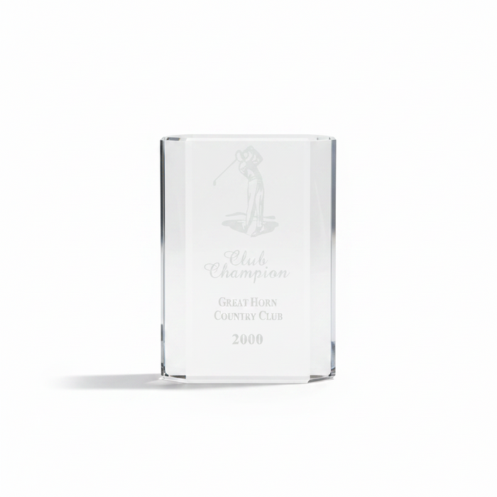 Custom Logo Engraved Merit Award - Tournamentshowroom.com