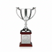 Custom Logo Golf Recognition Cup Awards - Tournamentshowroom.com