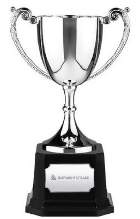 Custom Logo Swatkins Endurance 2 Patterned Handle Cup Award