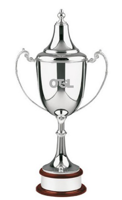 Custom Engraved Swatkins Golf Champions Silver Plated Plain Cup Award with  Lid