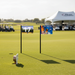 Custom Logo Full Color Golf Pin Flags - Tournamentshowroom.com