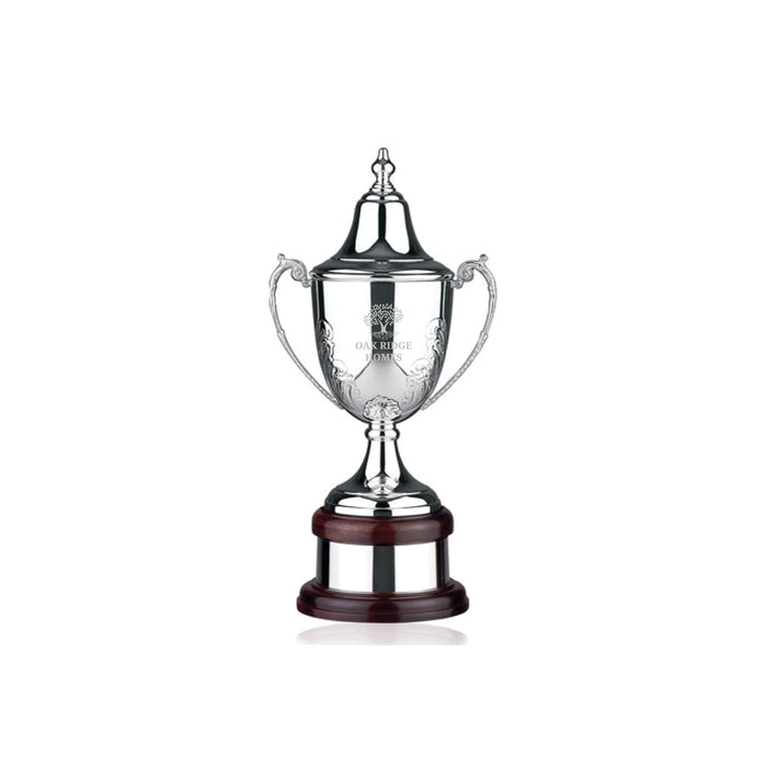 Distinquished Silver Golf Trophy Cup Award