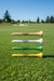 Custom Logo Golf Tees (3 1/4") - Tournamentshowroom.com