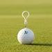 Custom Logo Golf Ball Rain Poncho - Tournamentshowroom.com