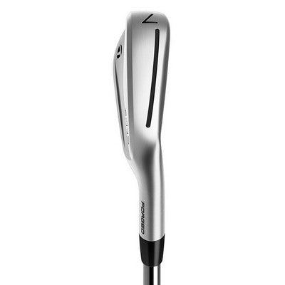 Taylormade P770 Iron