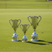 Golf Vanderbilt Pedestal Cup - Tournamentshowroom.com