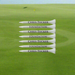 Custom Logo Budget Golf Tee Pack with six printed wooden tees for golf tournaments, corporate outings, and promotional giveaways.