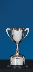Custom Logo Engraved Golf Engraved Nickelplate Trophy Cup