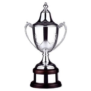 Distinquished Silver Golf Trophy Cup Award