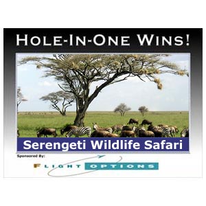 Serengeti Wildlife Safari Package